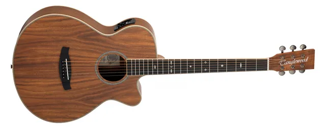 Tanglewood Reunion Pro TRU4CEAK guitare électro-acoustique