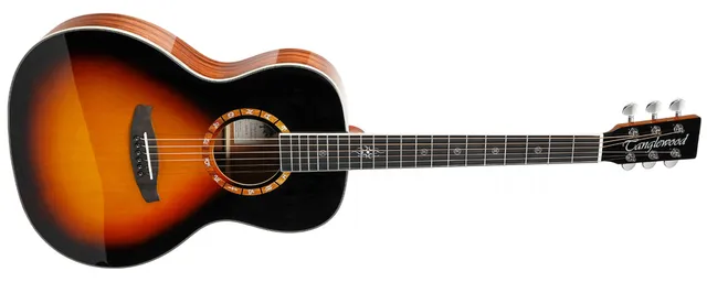 Tanglewood Zodiac T2000-TB guitare électrique