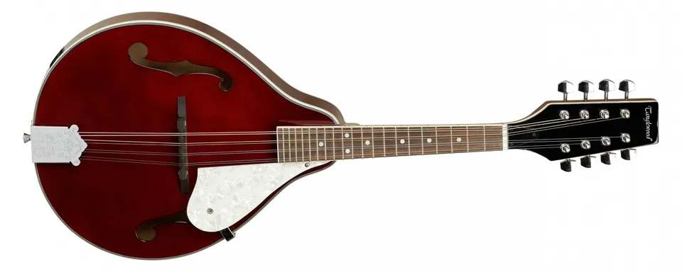Tanglewood Mandolins TWMTWR mandoline 8 cordes