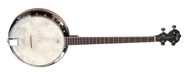 Tanglewood Banjos TUB4 banjo 4 cordes ténor