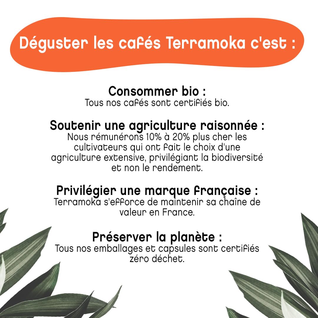 Terramoka Mademoiselle Adèle café grains bio 1 kg fruité
