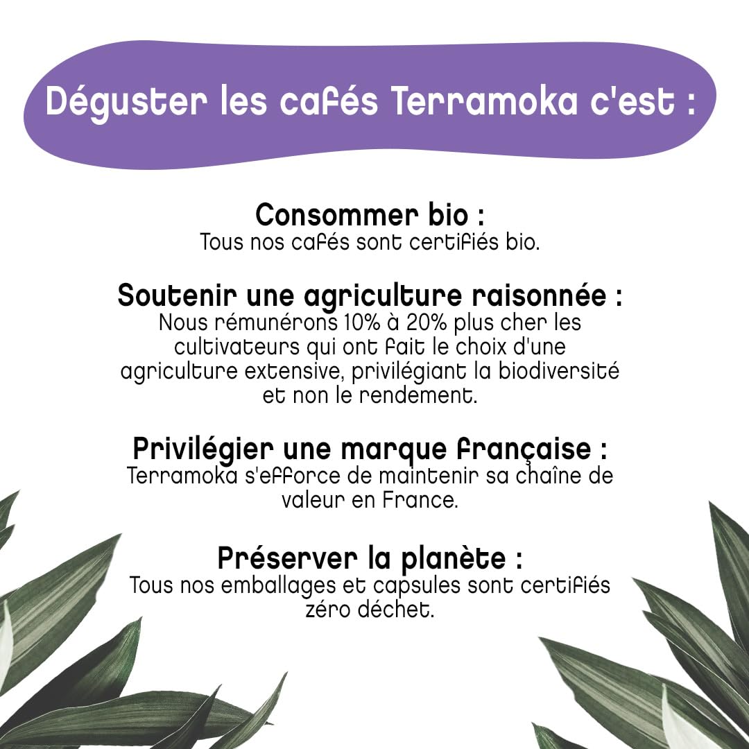 Terramoka Inès Capsule Café Bio Arabica 60 Papouasie