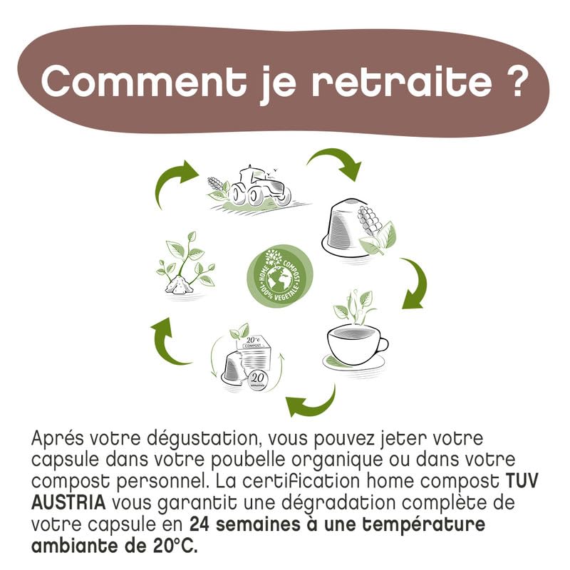Terramoka Monsieur Albert capsules café Pérou bio 60 fruité