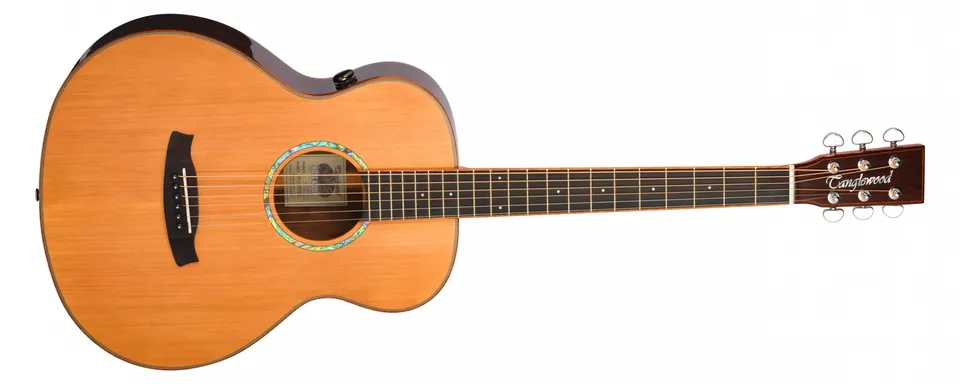 Tanglewood Rosewood Smart TRS1E guitare folk électro palissandre