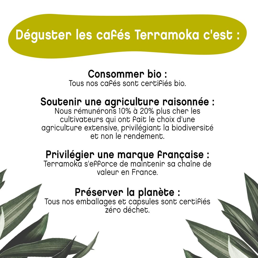 Terramoka Le jeune Arthur capsules café bio 120 riche