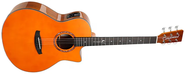 Tanglewood Lunastra T10G-VN E guitare classique nylon