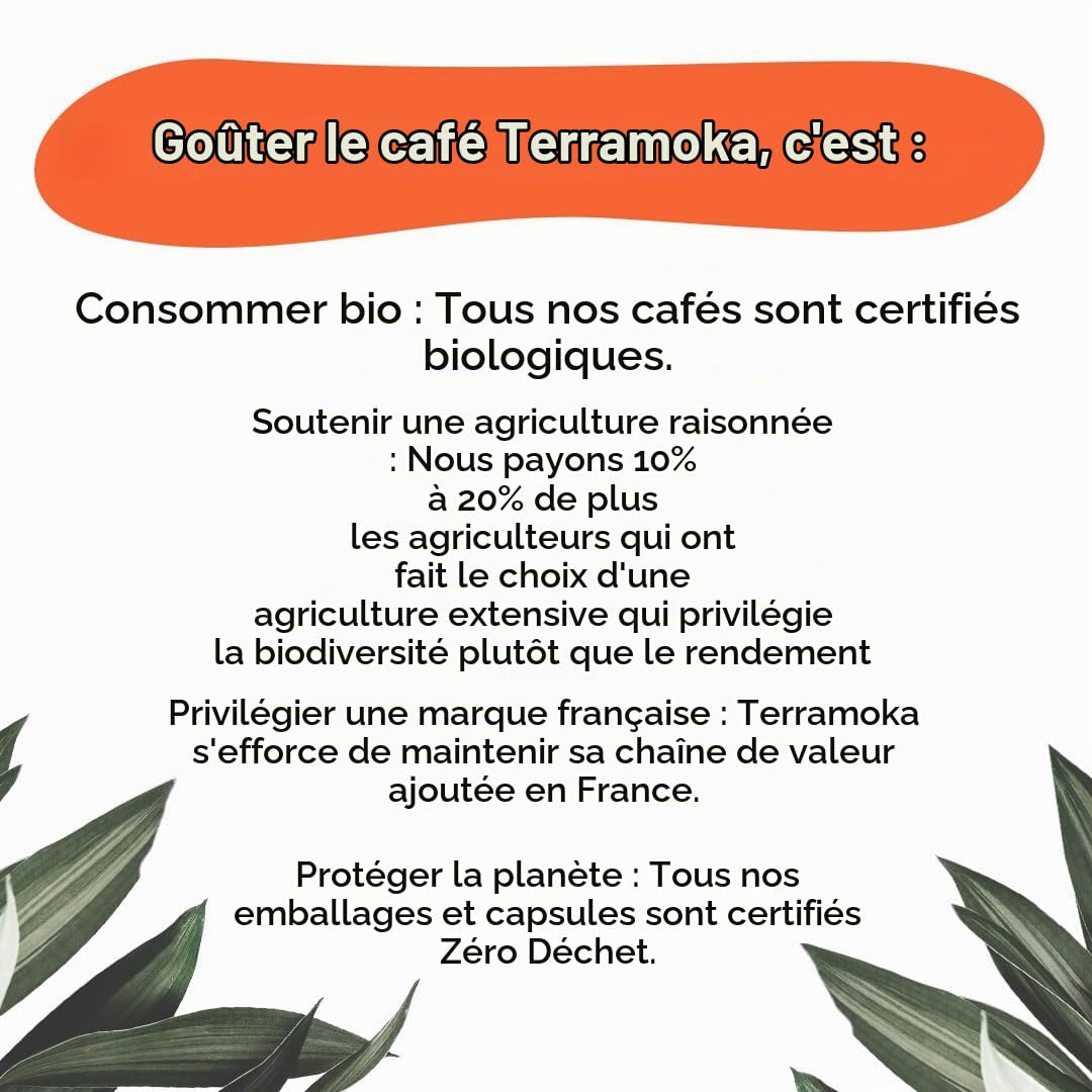 Terramoka La Signature capsule café bio Nespresso lot 105 déca