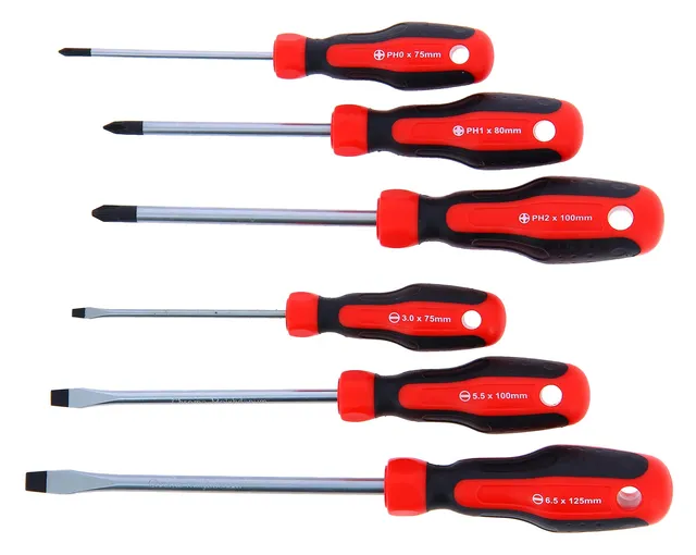 PRECISION STEEL Jeu 6 tournevis plats cruciformes avec support