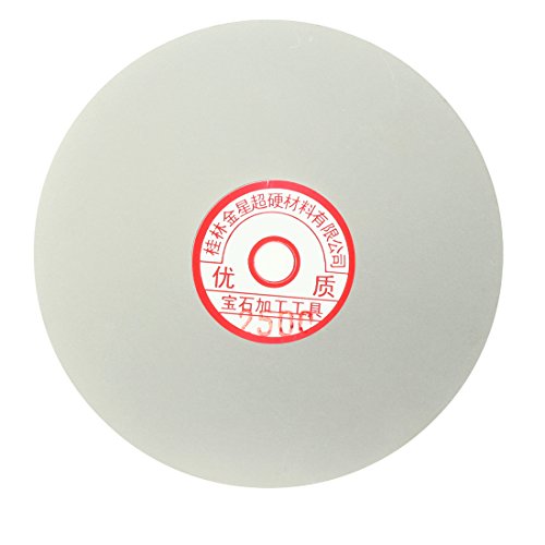 Sourcingmap roue polissage diamant grain 2500 disque 15,2 cm