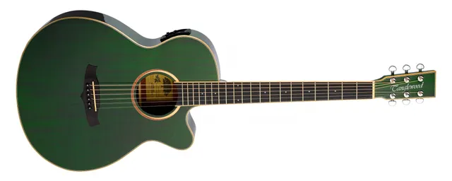 Tanglewood Winterleaf TW4CEFG guitare folk électro pan coupé