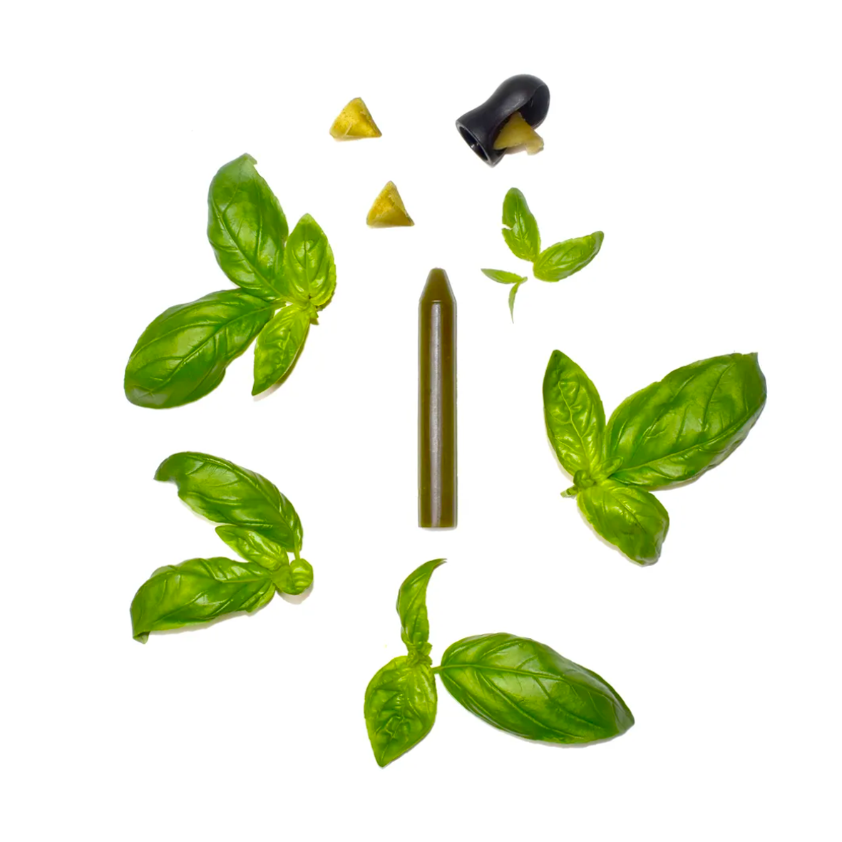 OCNI Coffret 1 Crayon Basilic Bio Assaisonnement Taille