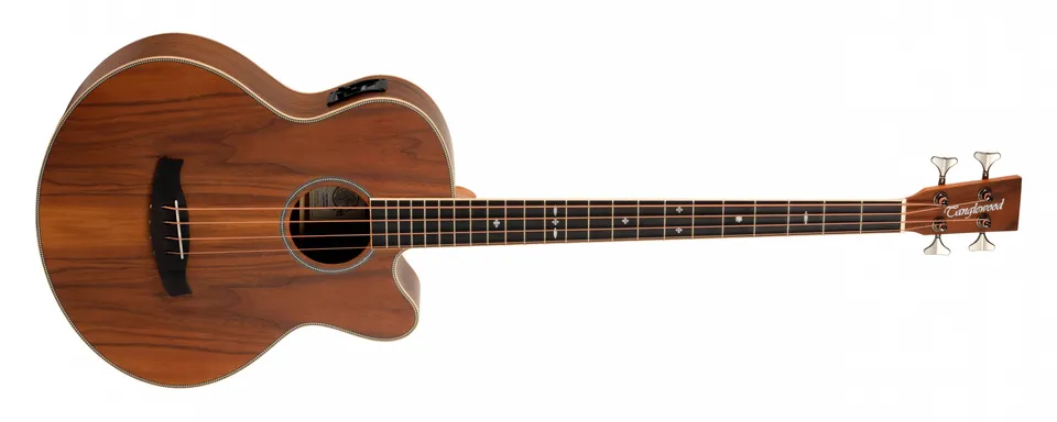 Tanglewood Reunion Pro TRU7ABCEAW guitare folk auditorium