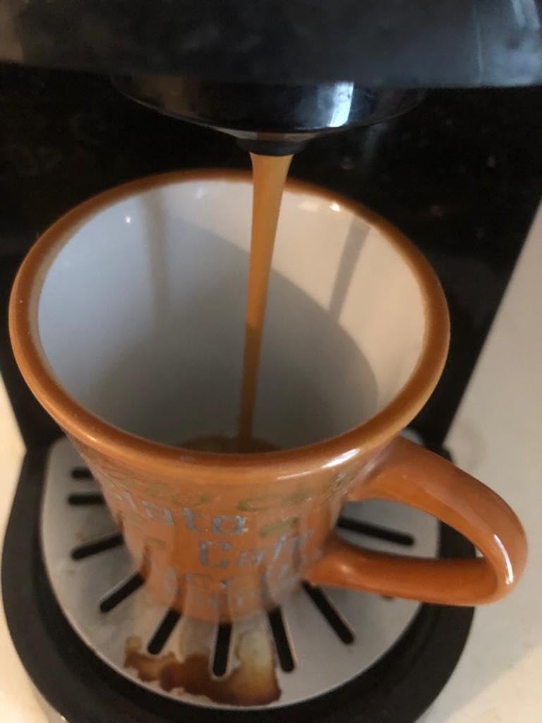Terramoka Sir Oscar capsules café Éthiopie bio 60 fruité