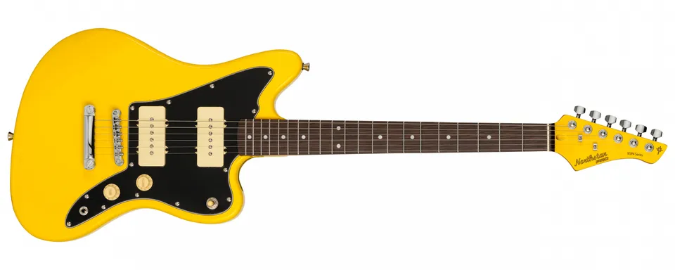 Tanglewood Union NSP4GY guitare folk acier