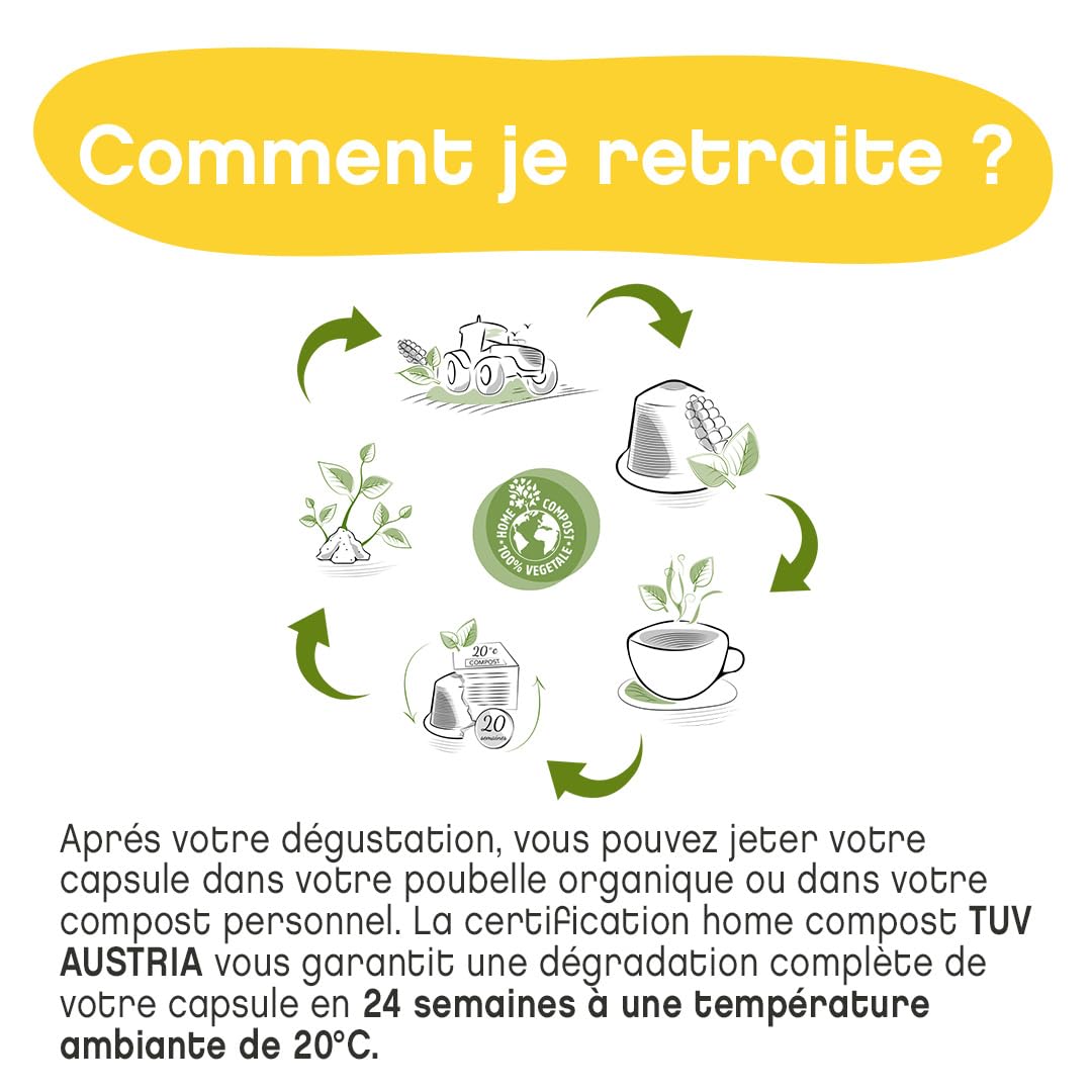 Terramoka Sir Oscar capsules café Éthiopie bio 60 fruité