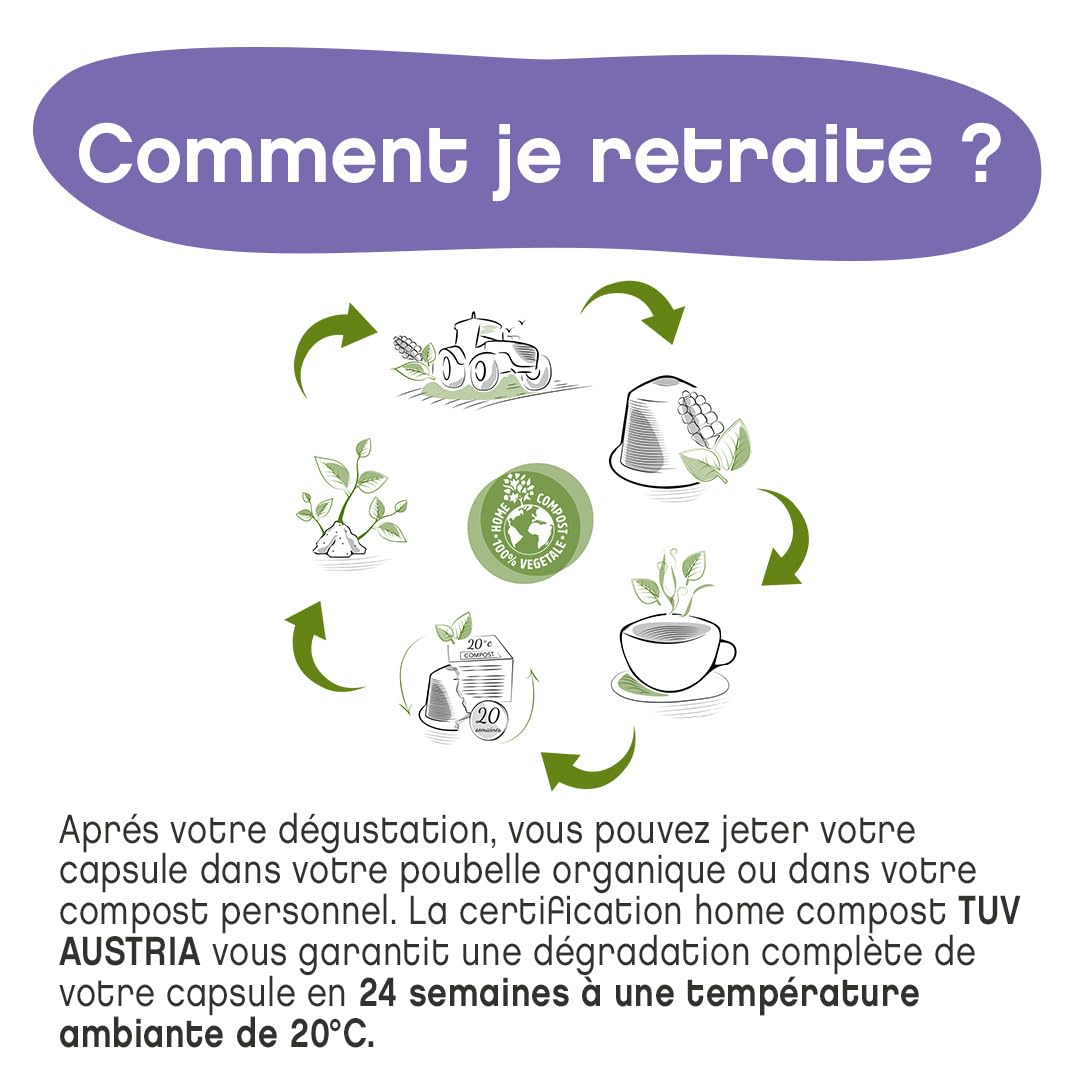Terramoka Inès Capsule Café Bio Arabica 60 Papouasie
