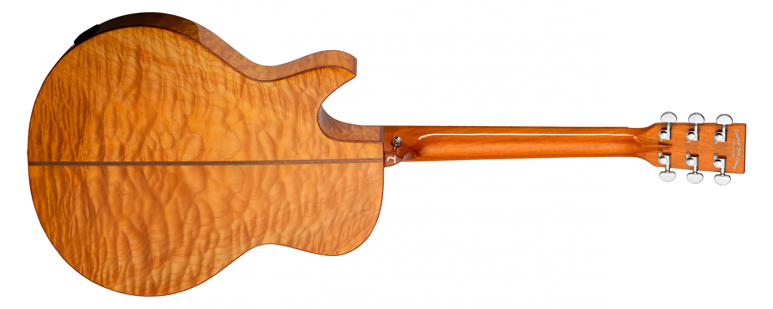 Tanglewood Winterleaf Exotic TWX6 CE guitare électro