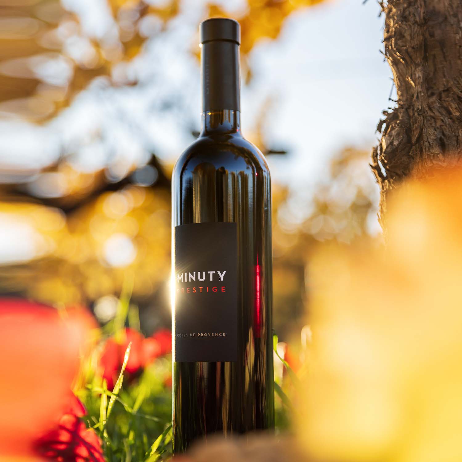 Minuty Prestige vin rouge 75 cl fruits noirs