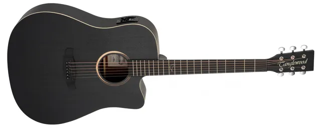 Tanglewood Blackbird TB5CE basse acoustique 5 cordes