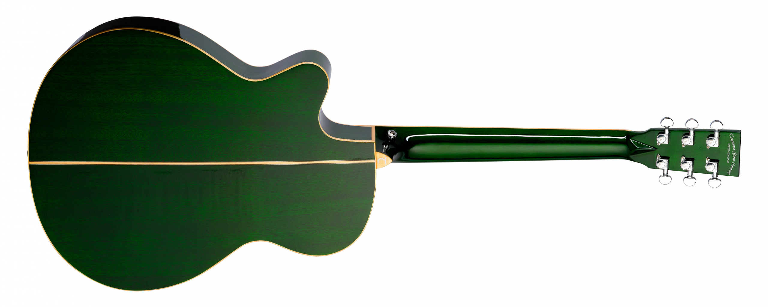 Tanglewood Winterleaf TW4CEFG guitare folk électro pan coupé