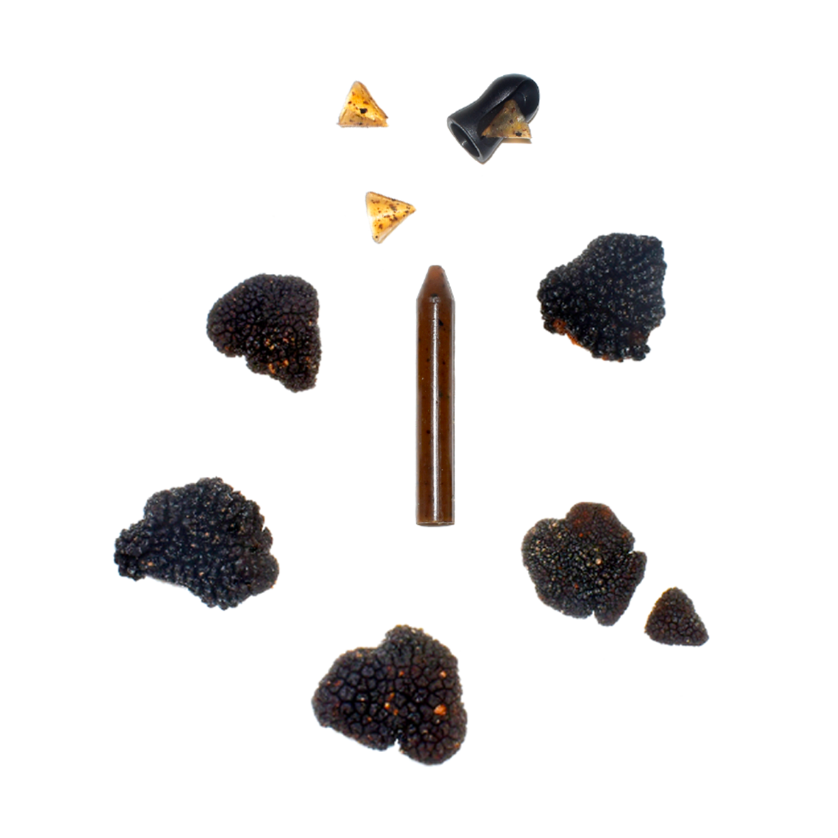 OCNI Coffrets 1 crayon assaisonnement truffe noire 10%