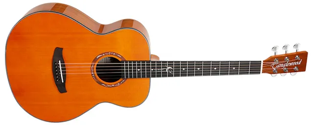 Tanglewood Lunastra T10S-VN violon 4 cordes