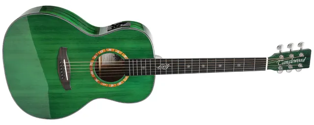 Tanglewood Zodiac T2000-FG E guitare électrique