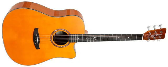 Tanglewood Lunastra T10D-VN guitare folk dreadnought