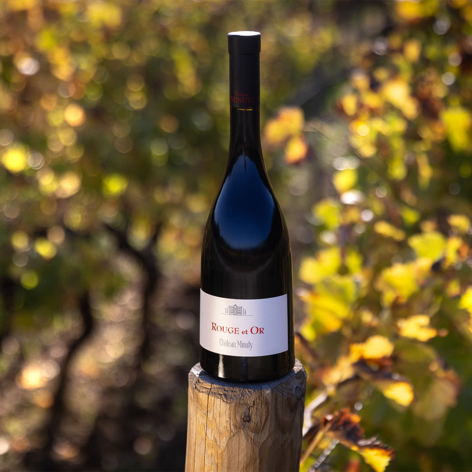 Château Minuty Or vin rouge 75 cl fruits rouges