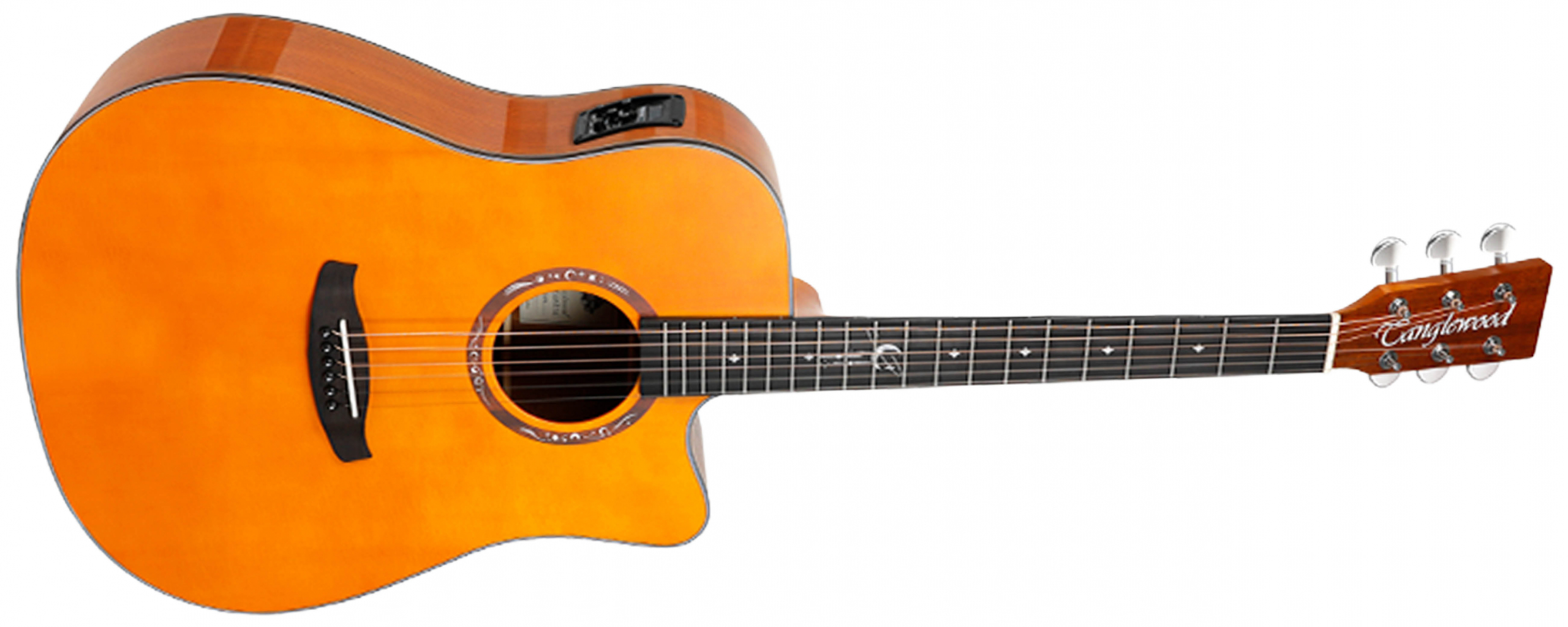 Tanglewood Lunastra T10D-VN E guitare folk naturelle