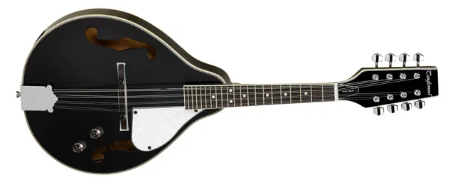 Tanglewood TWMTBKPE mandoline noire 8 cordes