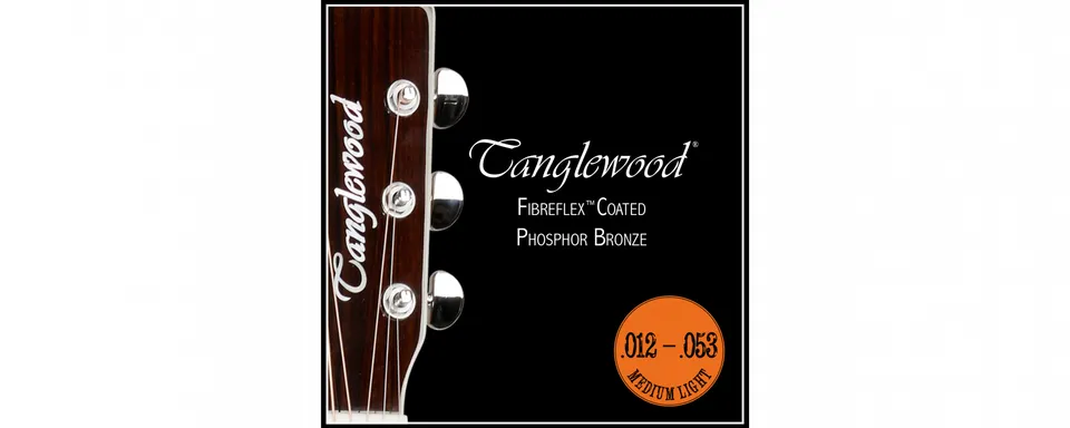 Tanglewood TWGS 12 jeu de cordes bronze 12-53
