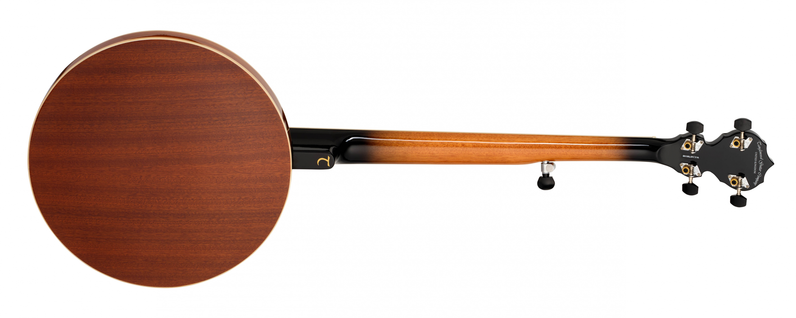 Tanglewood Banjos TUB5 banjo 5 cordes folk