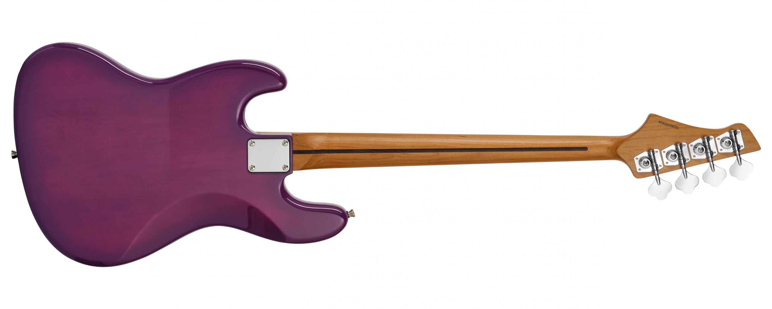 Tanglewood Union NSP6JP guitare folk parlor