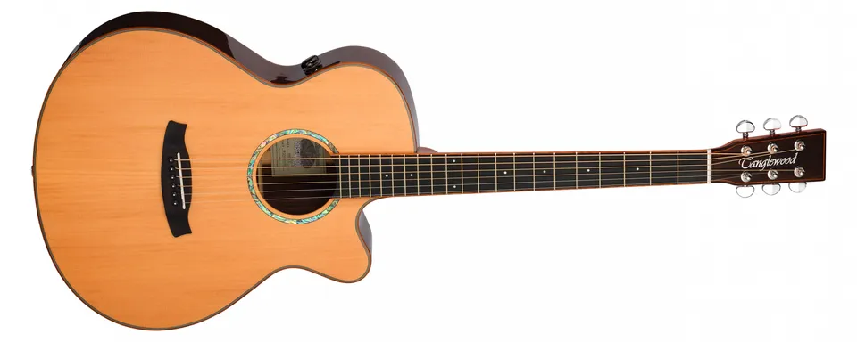 Tanglewood Rosewood Smart TRS4CE guitare folk électro palissandre