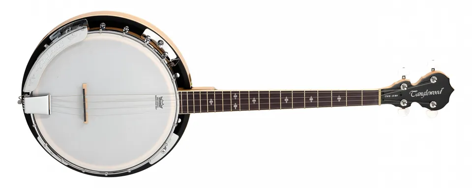Tanglewood Banjos TWB18M4 banjo 5 cordes acajou