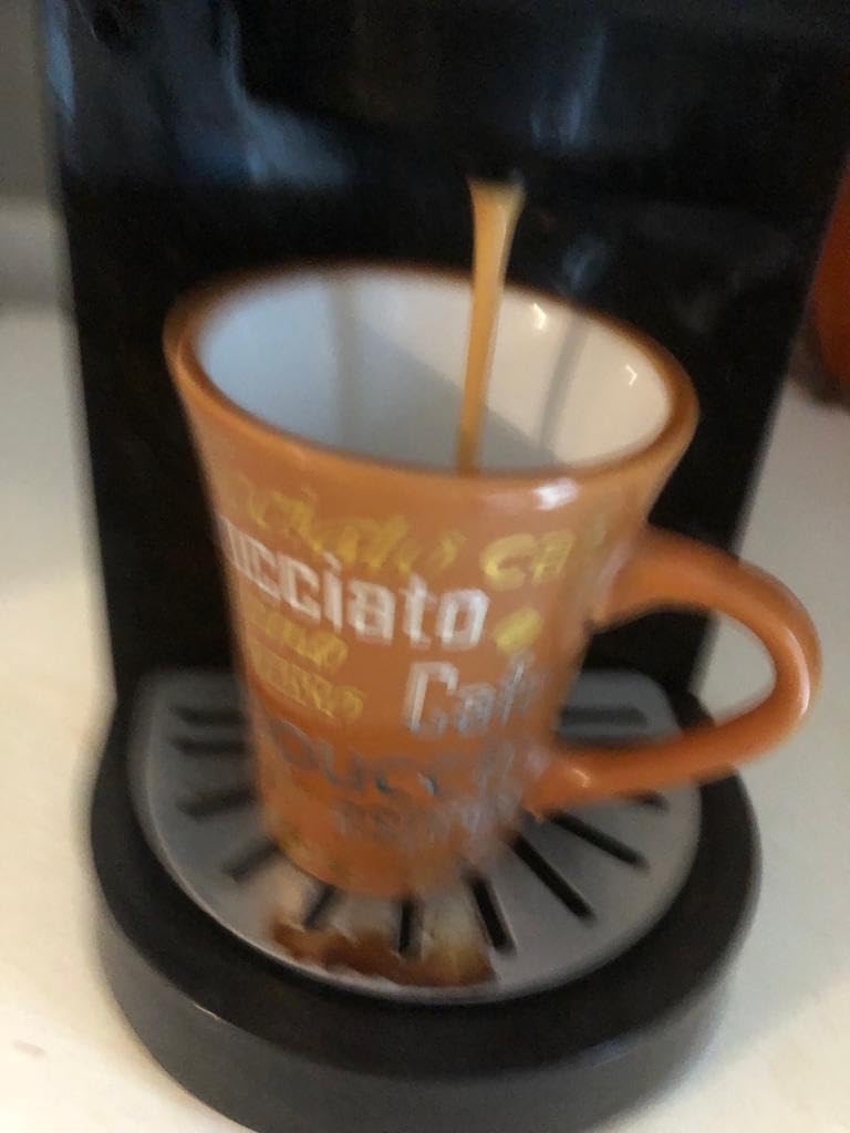 Terramoka Sir Oscar capsules café Éthiopie bio 60 fruité
