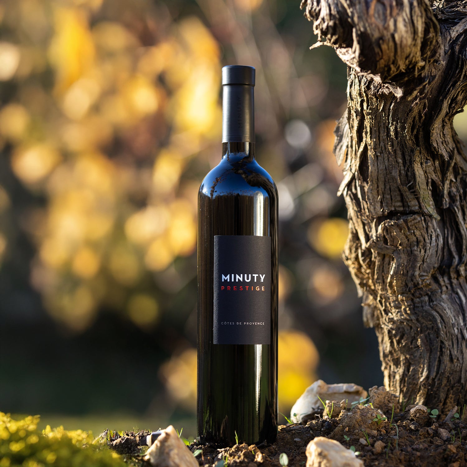Minuty Prestige vin rouge 75 cl fruits noirs