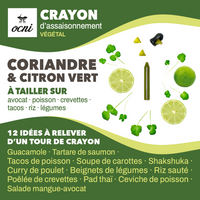 OCNI Coffrets 1 crayon Crayon Coriandre Lime Bio
