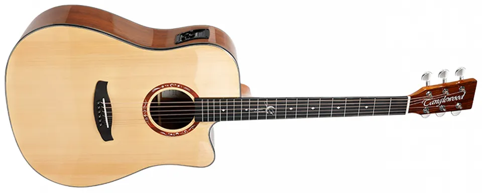 Tanglewood Lunastra T10D-NG guitare folk dreadnought naturel