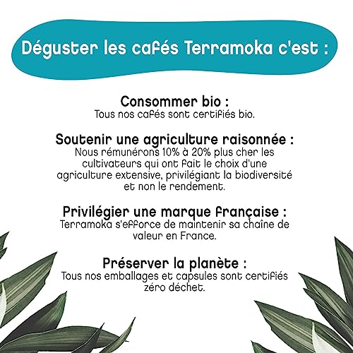 Terramoka Mister Nelson Dosettes Senseo Décaféiné 160