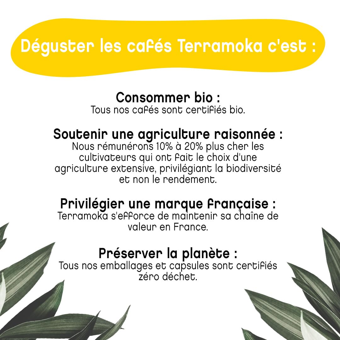 Terramoka Sir Oscar capsules café Éthiopie bio 60 fruité