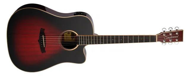 Tanglewood Winterleaf TW5CEAVB guitare folk AVB