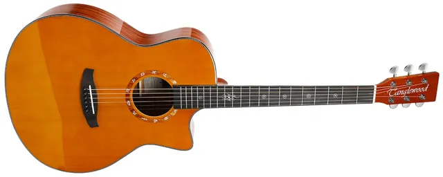 Tanglewood Zodiac T20G-VN guitare classique vernis naturel