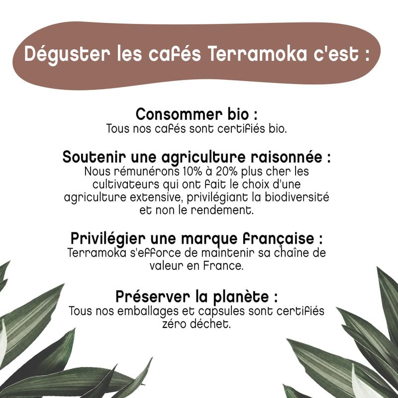 Terramoka Monsieur Albert capsules café Pérou bio 60 fruité
