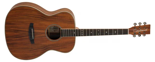 Tanglewood Reunion Pro TRU3AK guitare folk acoustique