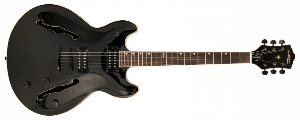 Tanglewood Union NSP5BKG banjo 5 cordes noir