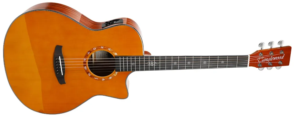 Tanglewood Zodiac T20G-VN E guitare folk vintage