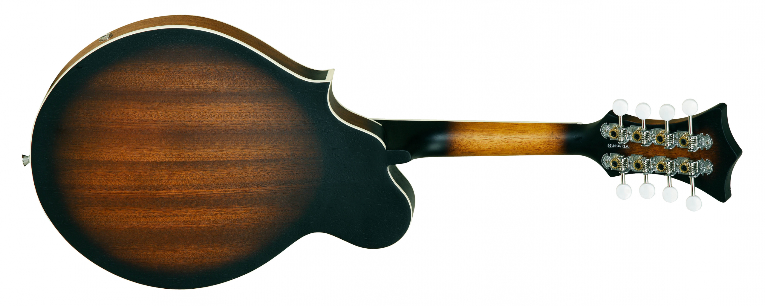 Tanglewood Mandolins TWMFVSE mandoline 8 cordes
