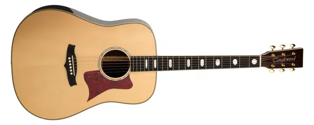Tanglewood Heritage TW1000HSR guitare folk acoustique 6 cordes